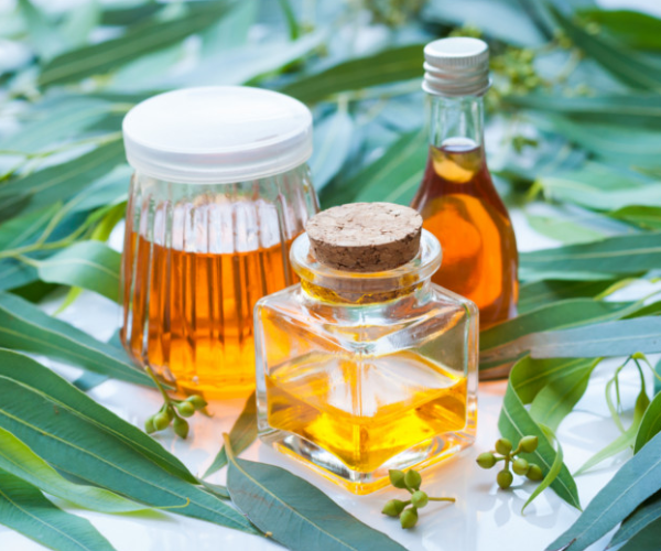 Eucalyptus Oil image